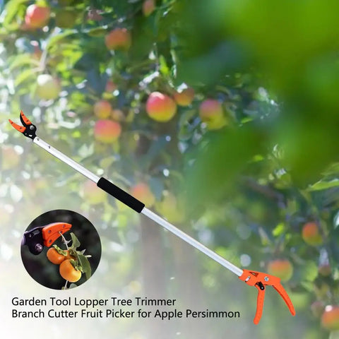 Fruit Picker Extra Long Pruning