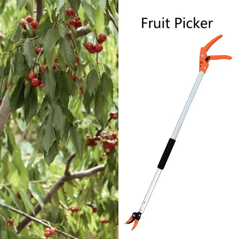 Fruit Picker Extra Long Pruning