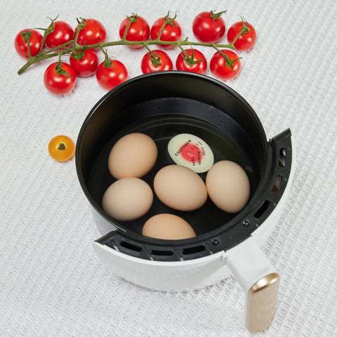 Egg Boiled Gadgets