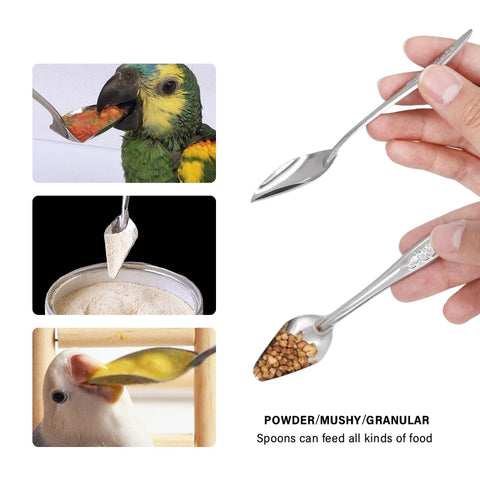 Bird Feeding Spoon Pet